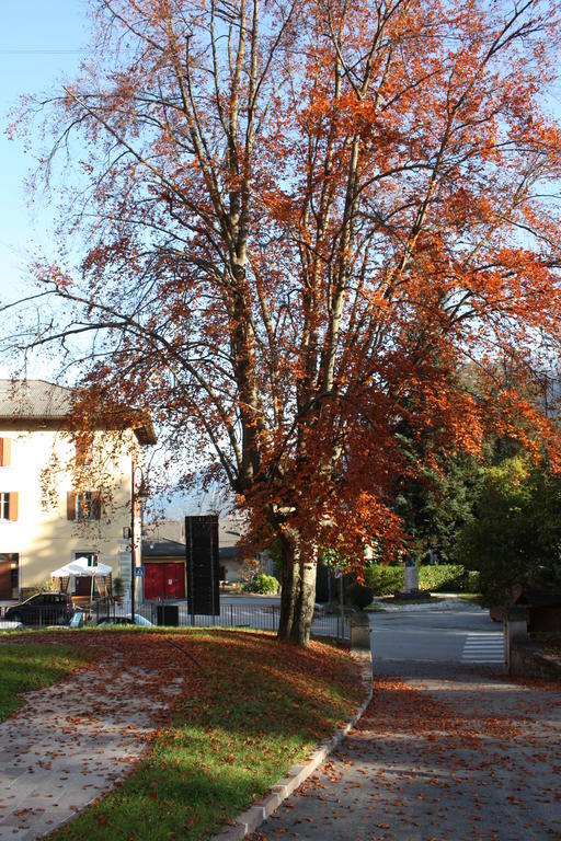 Garni Villa Waiz Roncegno Екстер'єр фото